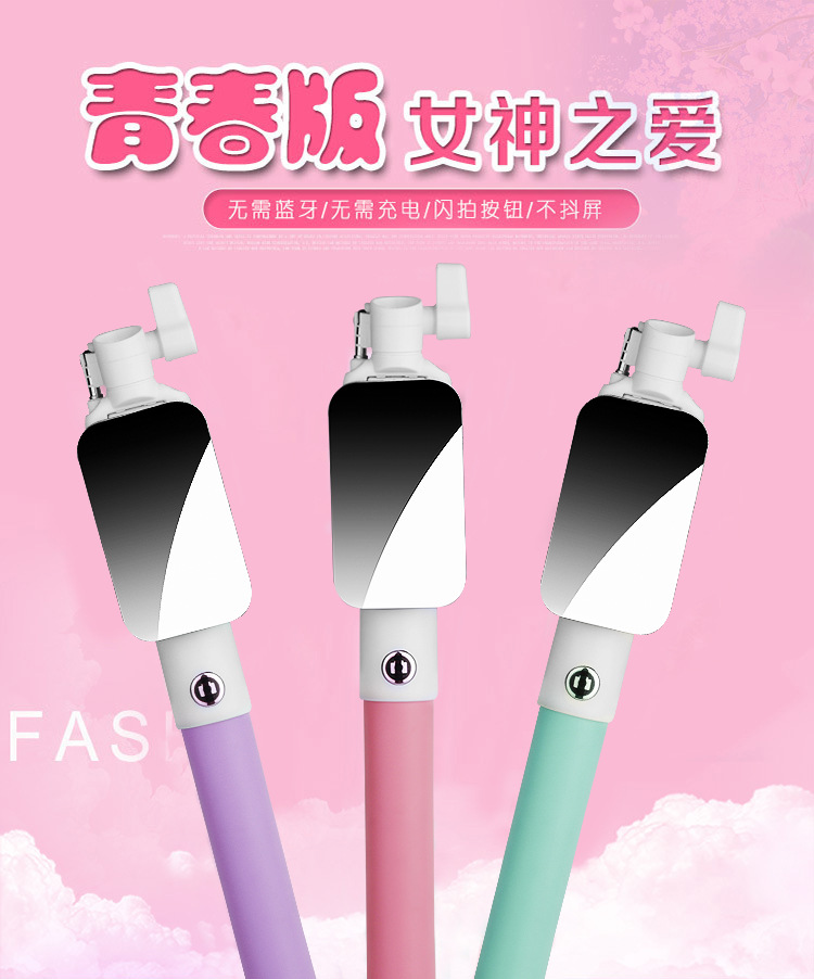 Bâton selfie en Acier inoxydable - Ref 3386039 Image 18