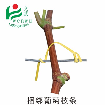 Civil and military packaging Galvanized Wire Plastic bag gardens grape Ligature Chinese rose Branch Ligation