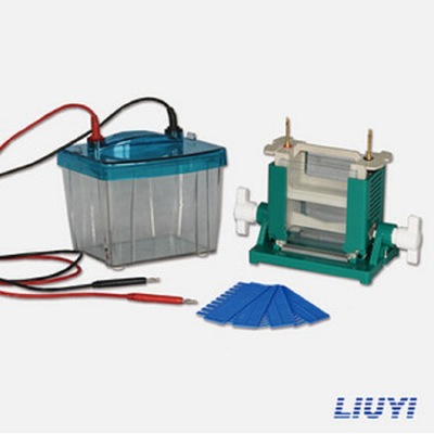 厂家直销 品质售后  DYCZ-25D型 北京六一 双垂直电泳仪|ms