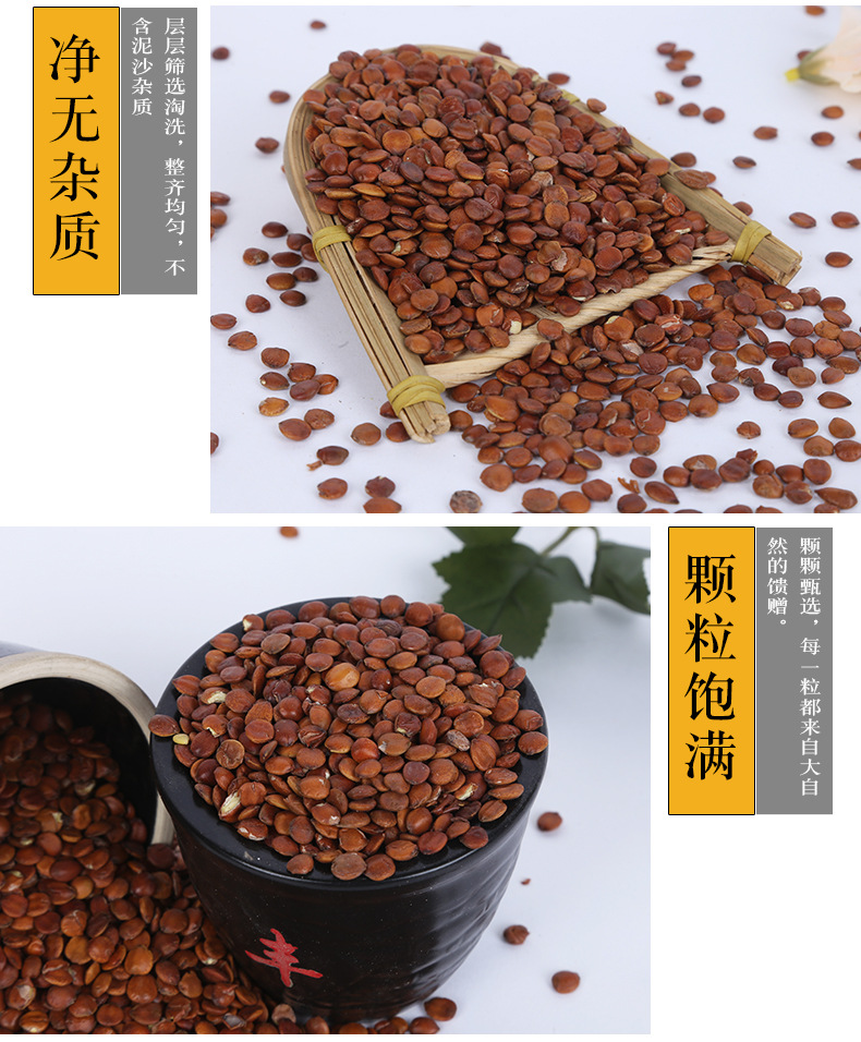 Zao Ren Li Zao Ren Roasted Sour Jujube Seed Bulk 500g Herbal Tea Ingredient Low Temperature Baked in use