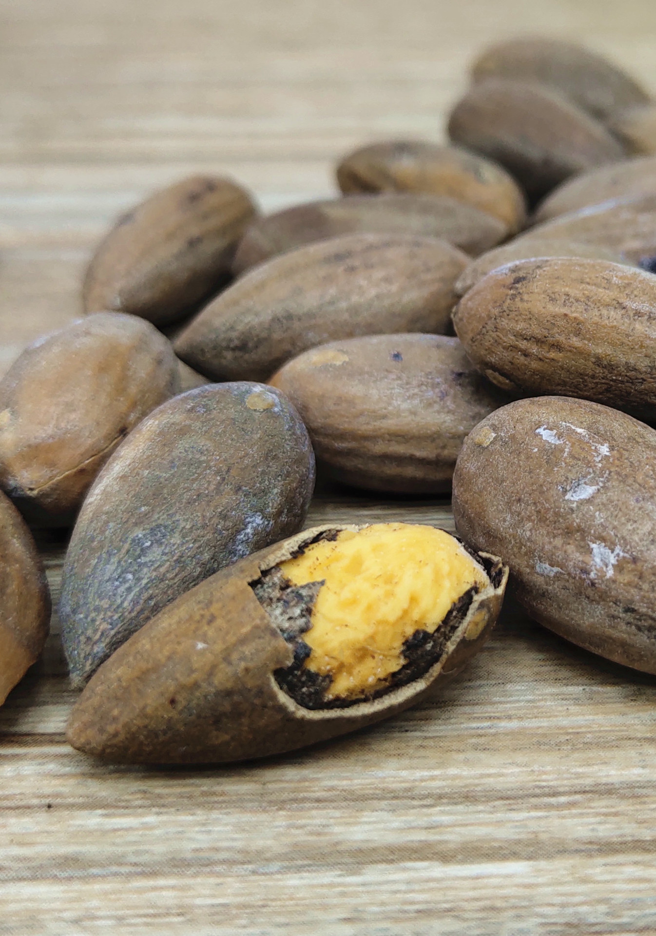 微信图片_20181017163858