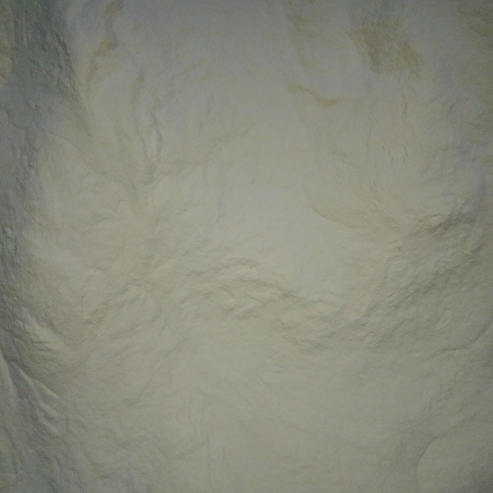 现货供应 酵母β葡聚糖 酵母提取物 1kg起订 酵母葡聚糖