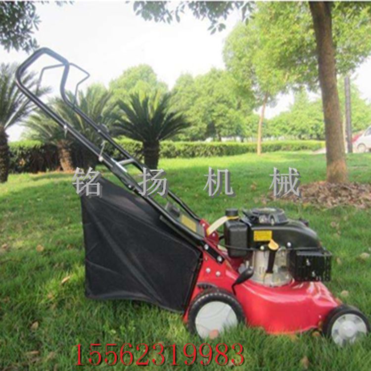 球场剪枝草坪机 养殖场牧草青草割草机 汽油剪草机批发