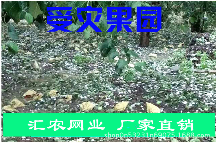 TB2yM6KvR0kpuFjy1zdXXXuUVXa_!!