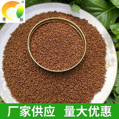 现货批发苦荞茶黑苦荞超微全皮茶四川西昌凉山苦荞茶代用茶