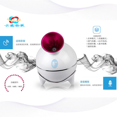 Voice control Spray Steaming the face Voice Module Spray Steaming the face Voice Distinguish programme Offline Voice Control