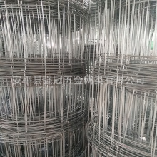 供应多规格箱号草原网 镀锌材质鹿网 150*150mm孔径