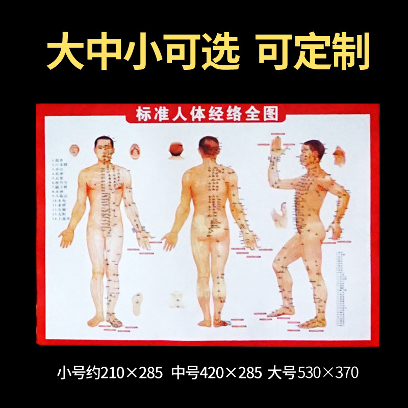 批发艾灸人体经络图挂图 大小号穴位图 附常用艾灸参考双面艾灸书