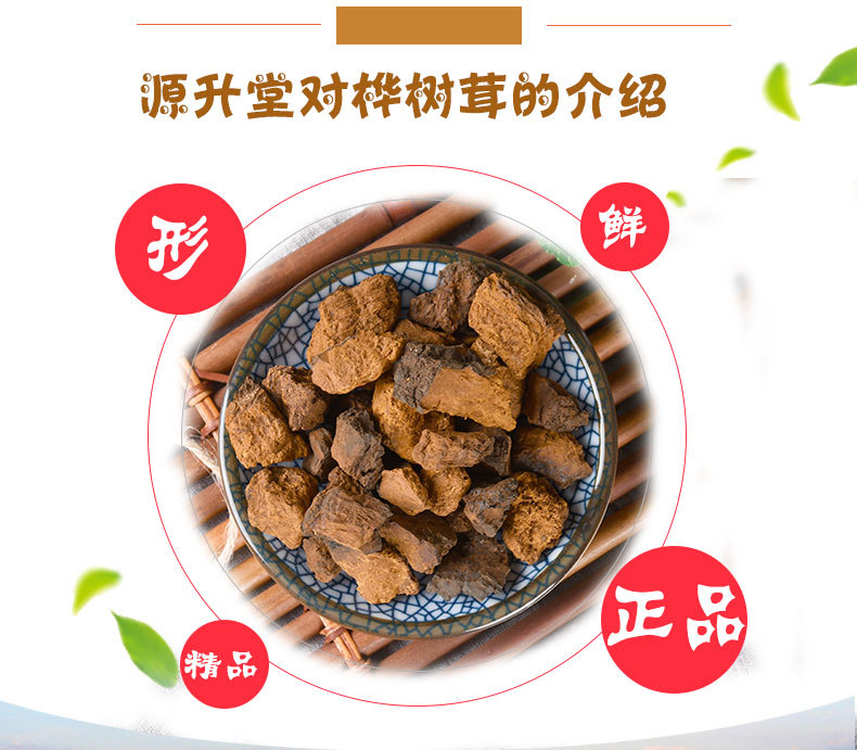 Chaga Mushroom (Inonotus obliquus) — Wild-Harvested Birch Conk from Changbai Mountain, 500g key features
