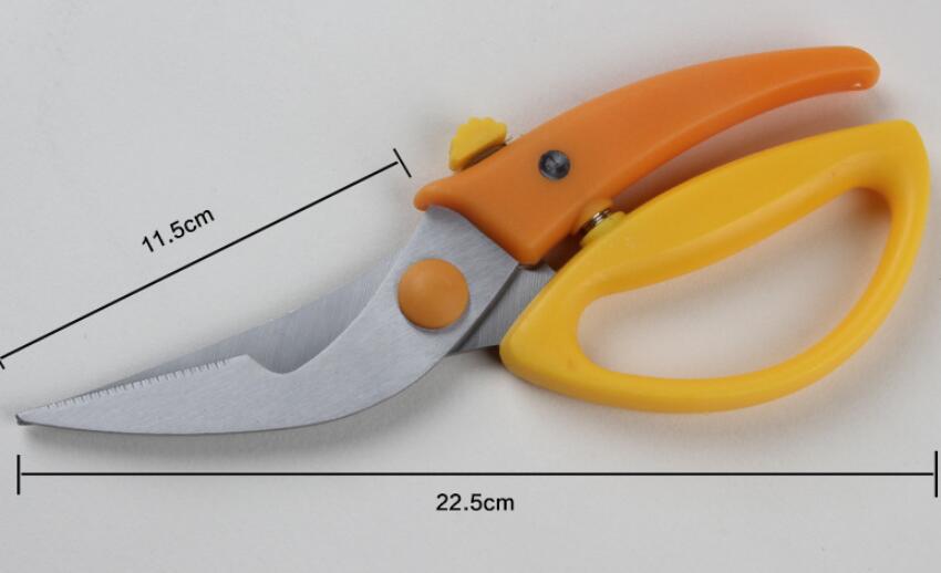 鸡骨剪尺寸图片