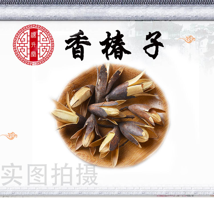 Xiang Chun Zi (Toona sinensis Seeds) — Sulfur-Free Dried Food Herb, 500g Bulk overview