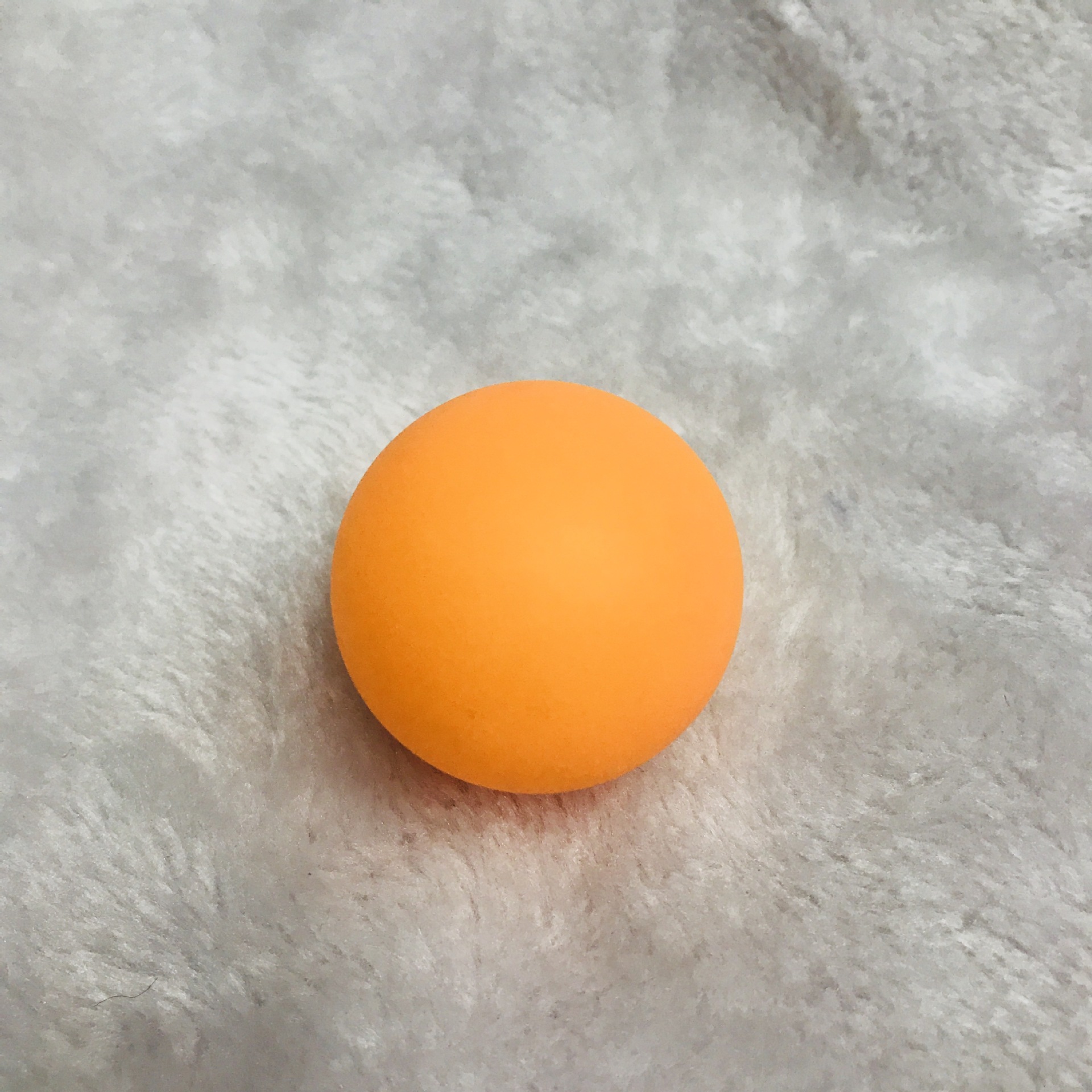 IMG_4921(20180724-151032)