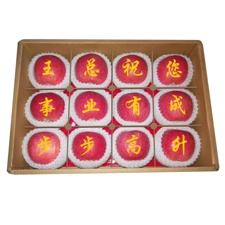 供应可食用水果印字油墨 苹果印字油墨 可食用油墨 食品油墨