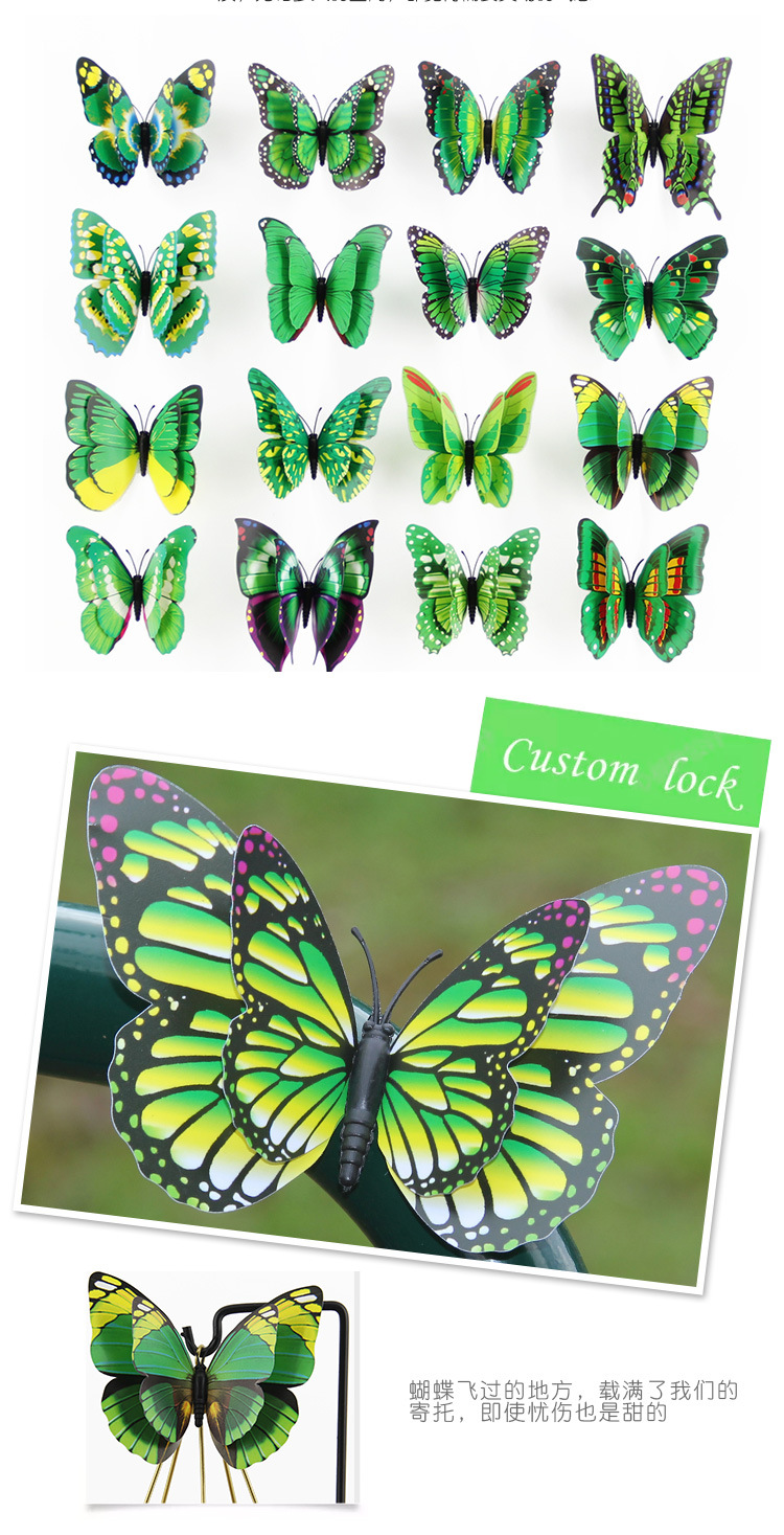 蝴蝶_22.jpg