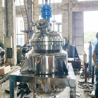 Stainless steel Mechanics equipment Model Complete large Reactor crystal Reactor heating stir Manufactor