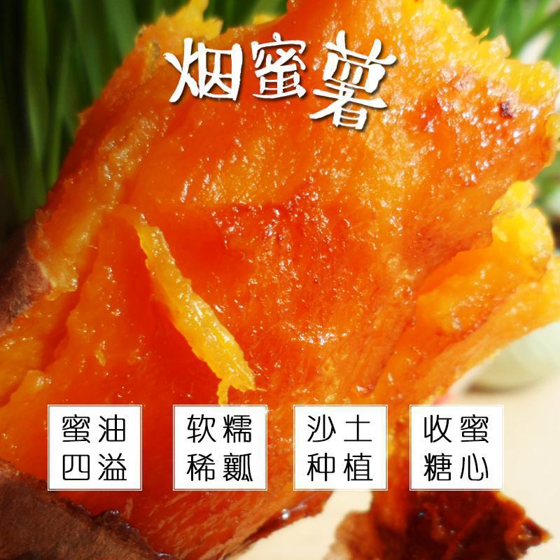 烟薯25沙土地蜜薯烤地瓜红薯甜糯无丝精品大果地瓜番薯板栗地瓜|ms