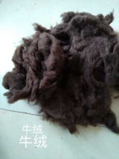 �S�ҹ����ຣţ�q ��ţ�q �q �d��q�ȼ���ԭ�����l