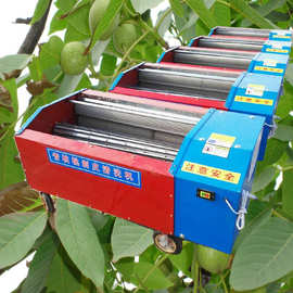 陕西鲜青核桃去皮机核桃青果去皮机薄核桃剥皮机 核桃去皮机