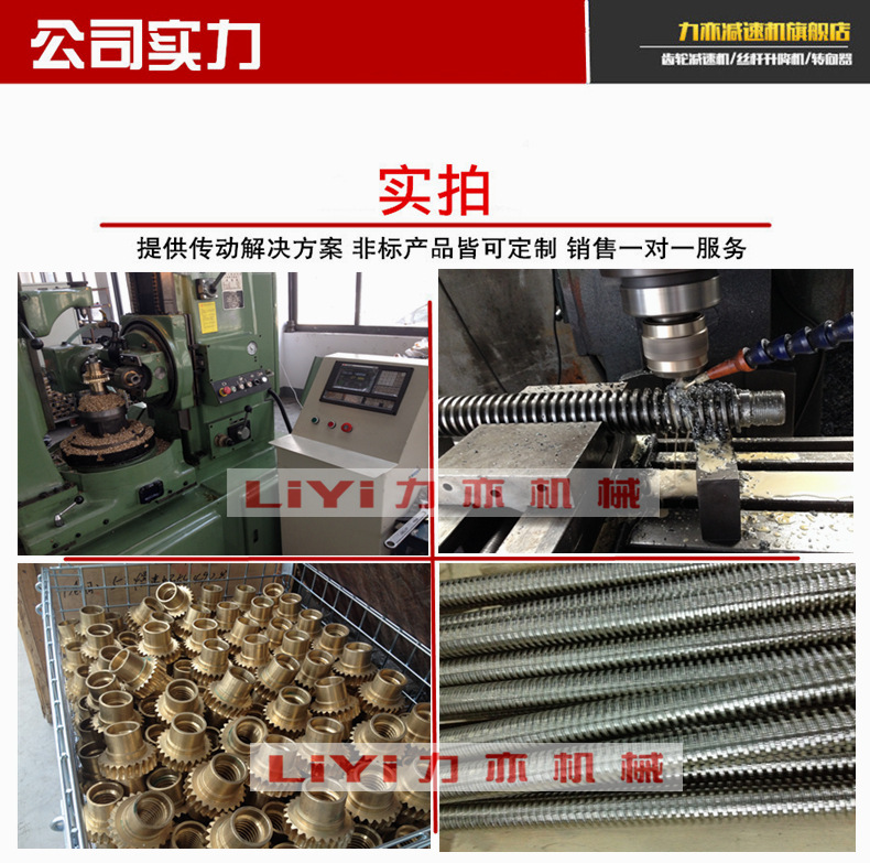 螺旋丝杆升降机SWL5M升降机 SWL5蜗轮丝杆升降机 厂家直销 升降机