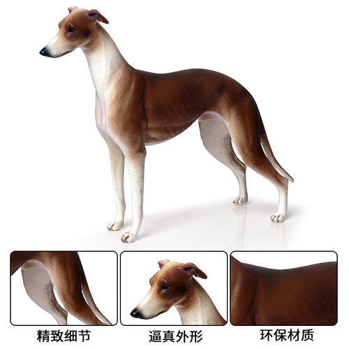 Simulated static solid wild animal dog model Greyhound Greyhound hunting dog pet dog children's toy figure