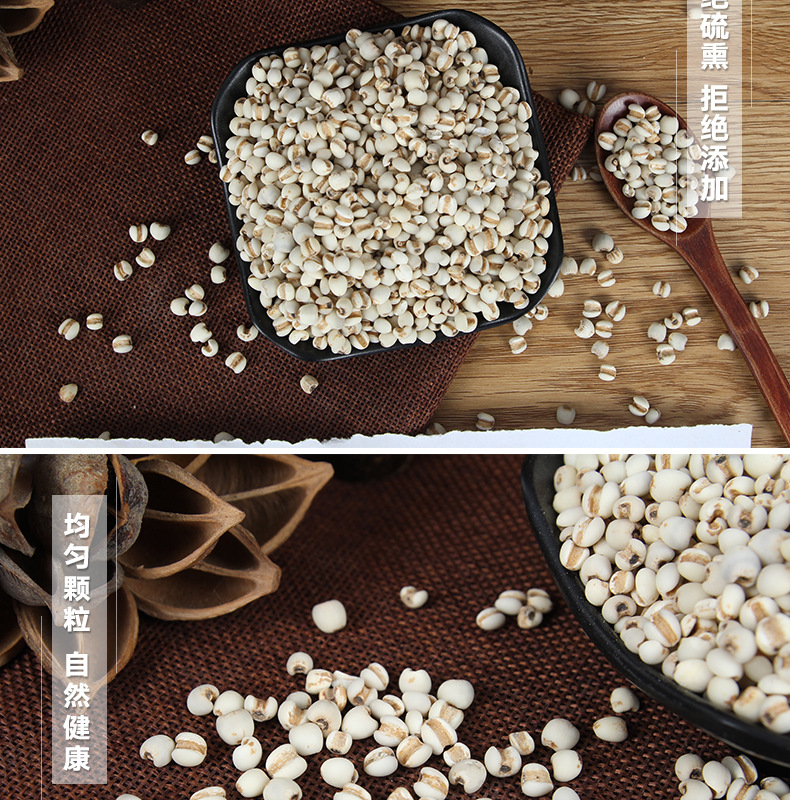 Yi Yi Ren (Coix Seed / Job's Tears) — Dried Food-Herb Grain for Tea, Soup & Congee quality and texture