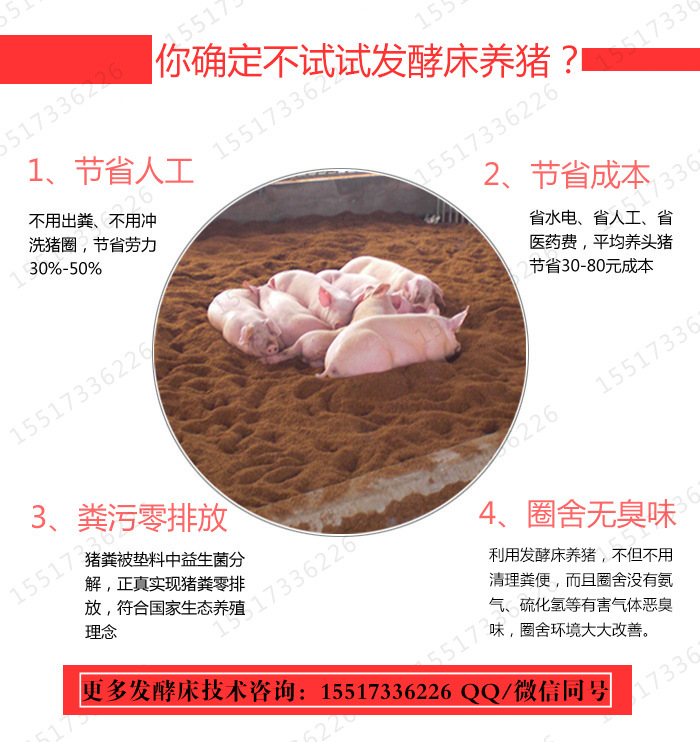 发酵床养猪的好处