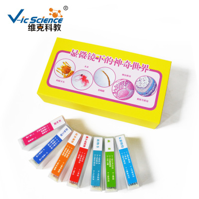 动植物切片35片装 昆虫蝴蝶标本中小学教学显微镜prepared slides