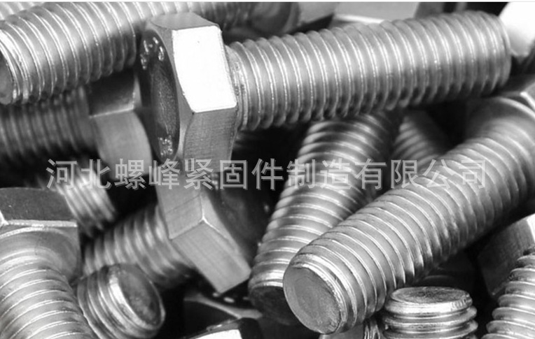 不銹鋼六角頭螺栓 (8).jpg