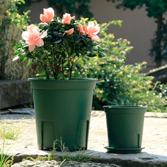 Domestic round Qingshan root control pot, plastic breathable galvanized pot, rose and iron wire lily pot, can be matched with a saucer
