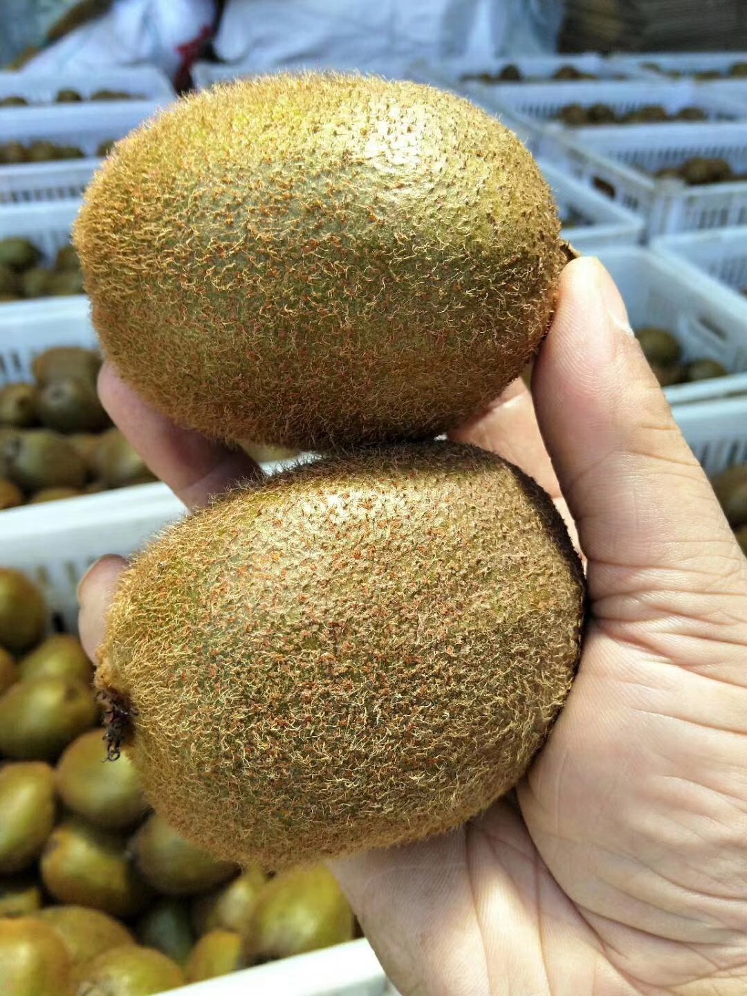 微信图片_20180906113758