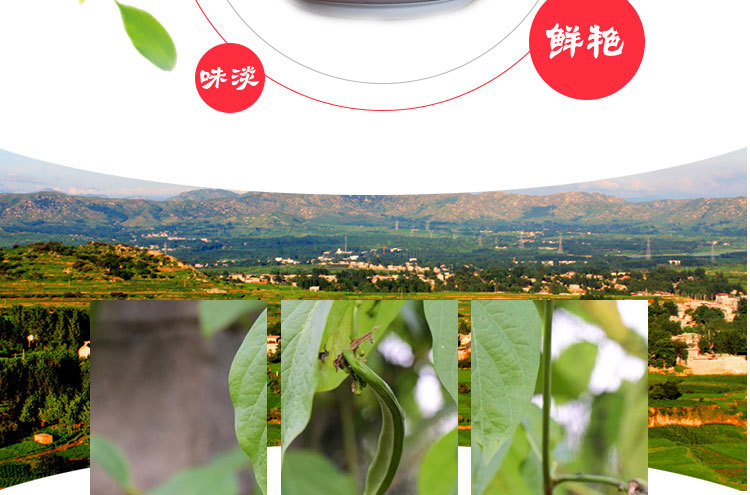 Dao Dou Shell (Canavalia gladiata) — Dried Sword Bean Pod Shell, Food Herb for Tea & Soup quality and texture
