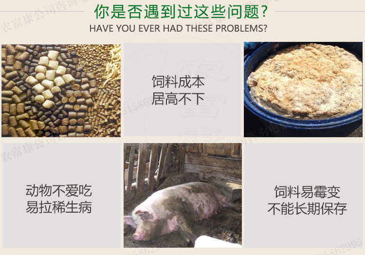 兽用饲料发酵剂