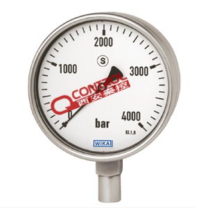 232.30.100压力表 德国WIKA