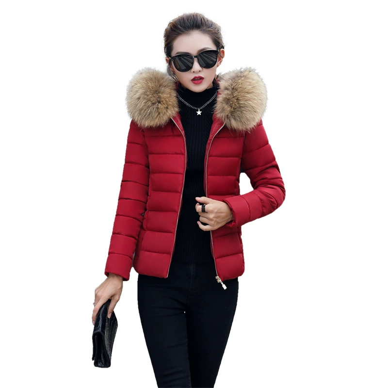 Winter short fitted down jacket with down, wholesale, 2019, Korean style