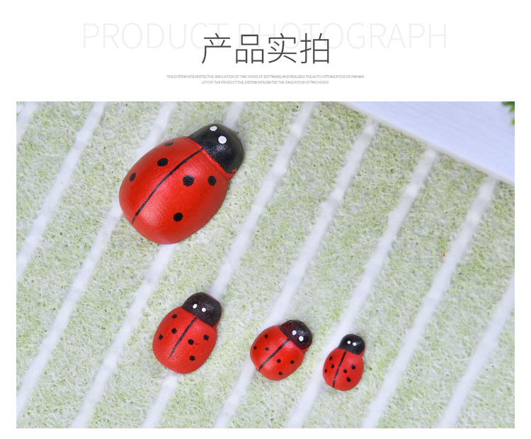 红色瓢虫_08