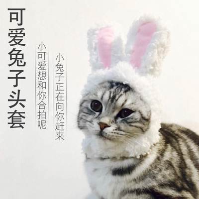 Cute Rabbit Ears Maotou pet Funny Transfiguration Kitty Headdress A head cover pet Hat