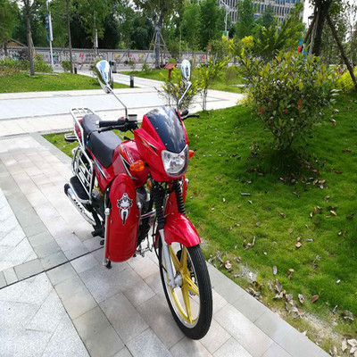 供应全新车整车125CC GS铃木钻豹款男装燃油二轮摩托车 五羊一本|ms