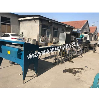 全自动洗蛋机 保洁蛋深加工蛋品清洗工艺 选配风干光检喷码喷油分