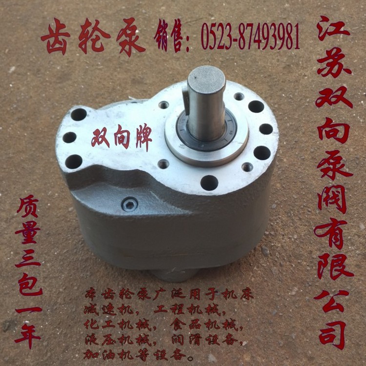 LBZ-16齿轮泵 LBZ型立式齿轮泵电机组 润滑泵/油泵电机组装置 泵