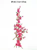 Big, fuchsia, 75x