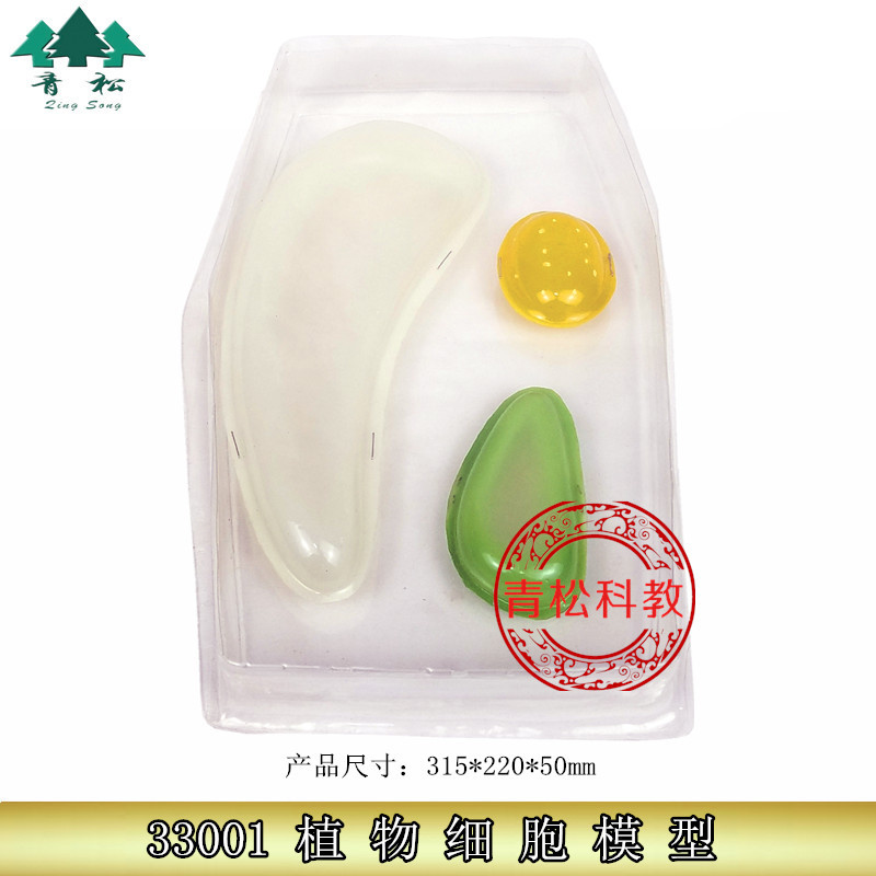 植物细胞模型 J33001 初中高中生物仪器 实验器材 中学 教学仪器