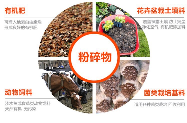 9217830436_1760041058