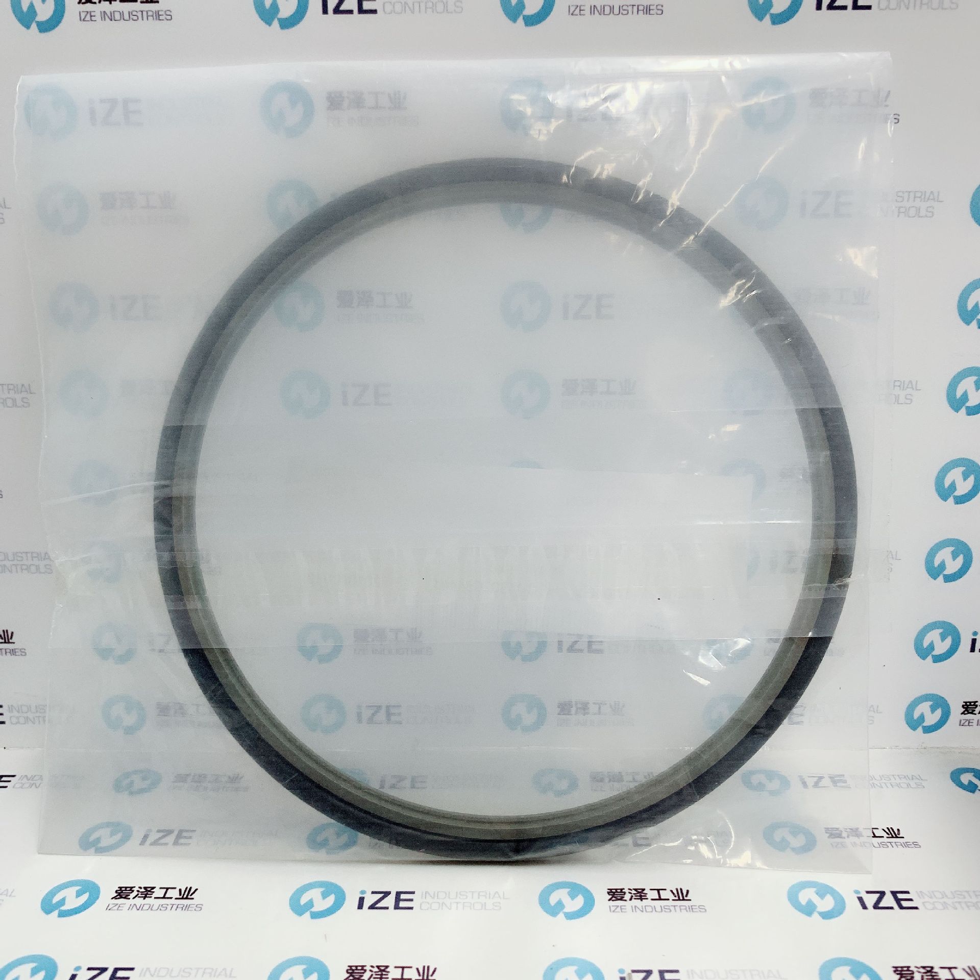 B+S密封RSK301300-T46N现货供应爱泽工业