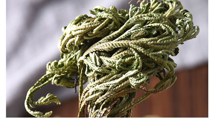 Juan Bai (Selaginella tamariscina) — Dried Resurrection Herb, Sulfur-Free 500g quality and texture