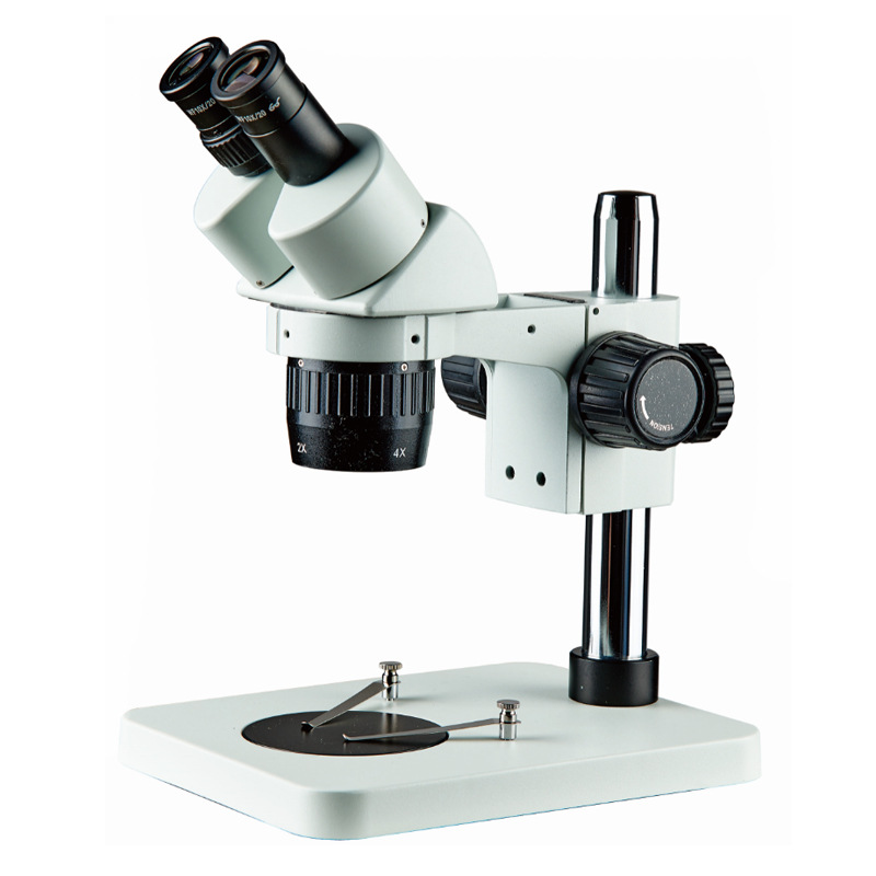 经济型20/40倍高清双目体视显微镜专业光学体式显微镜ST6024-B1