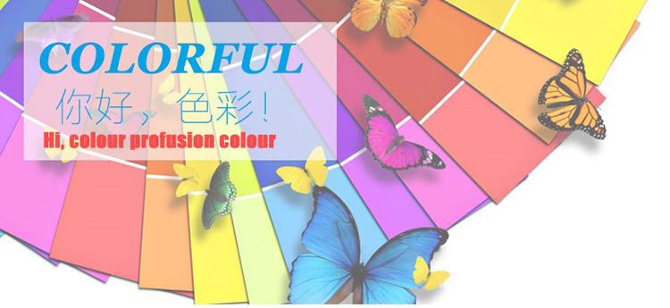 2931070410_1771158595