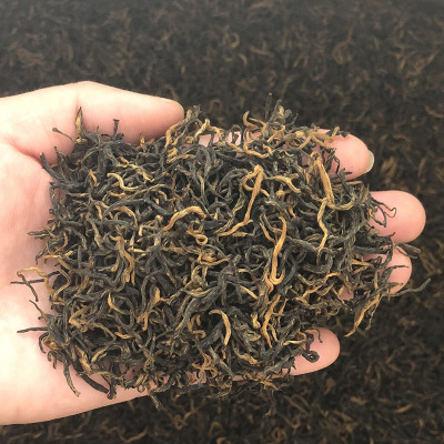 金骏眉黄芽 福建武夷山银骏眉桐木关小种红茶 春茶散茶厂家批发