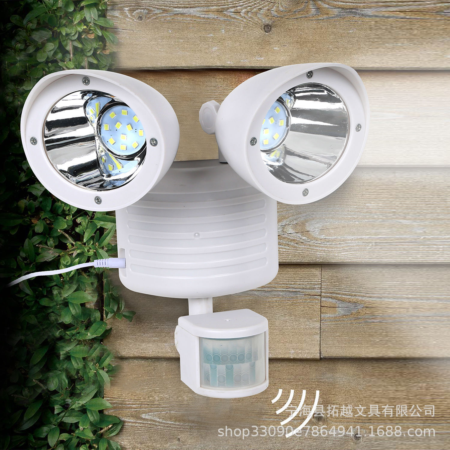 Dual Security Detector Solar Spot Light