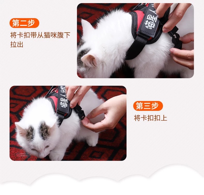 猫咪牵引绳小型犬宠物胸背带狗狗牵引绳猫猫用品厂家直销详情10