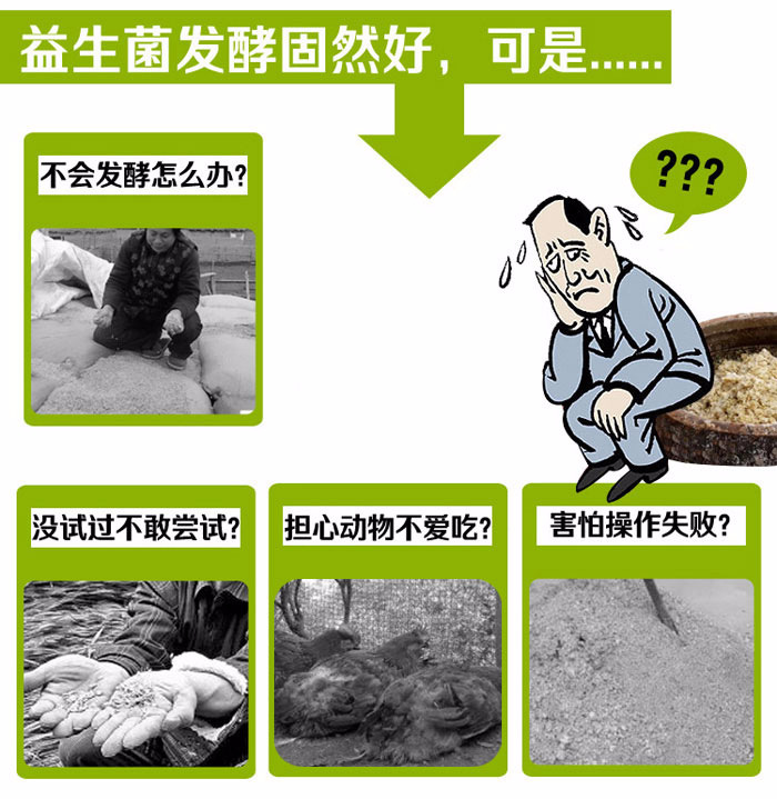 ���Ͷ���ι��